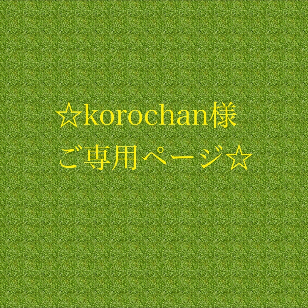 アップル ☆korochan様ご専用ページです☆ | badenbaden-net.com