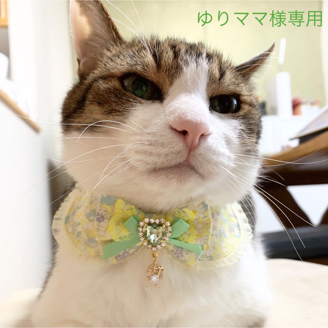 【ゆりママ様専用】猫用首輪 | フリマアプリ ラクマ