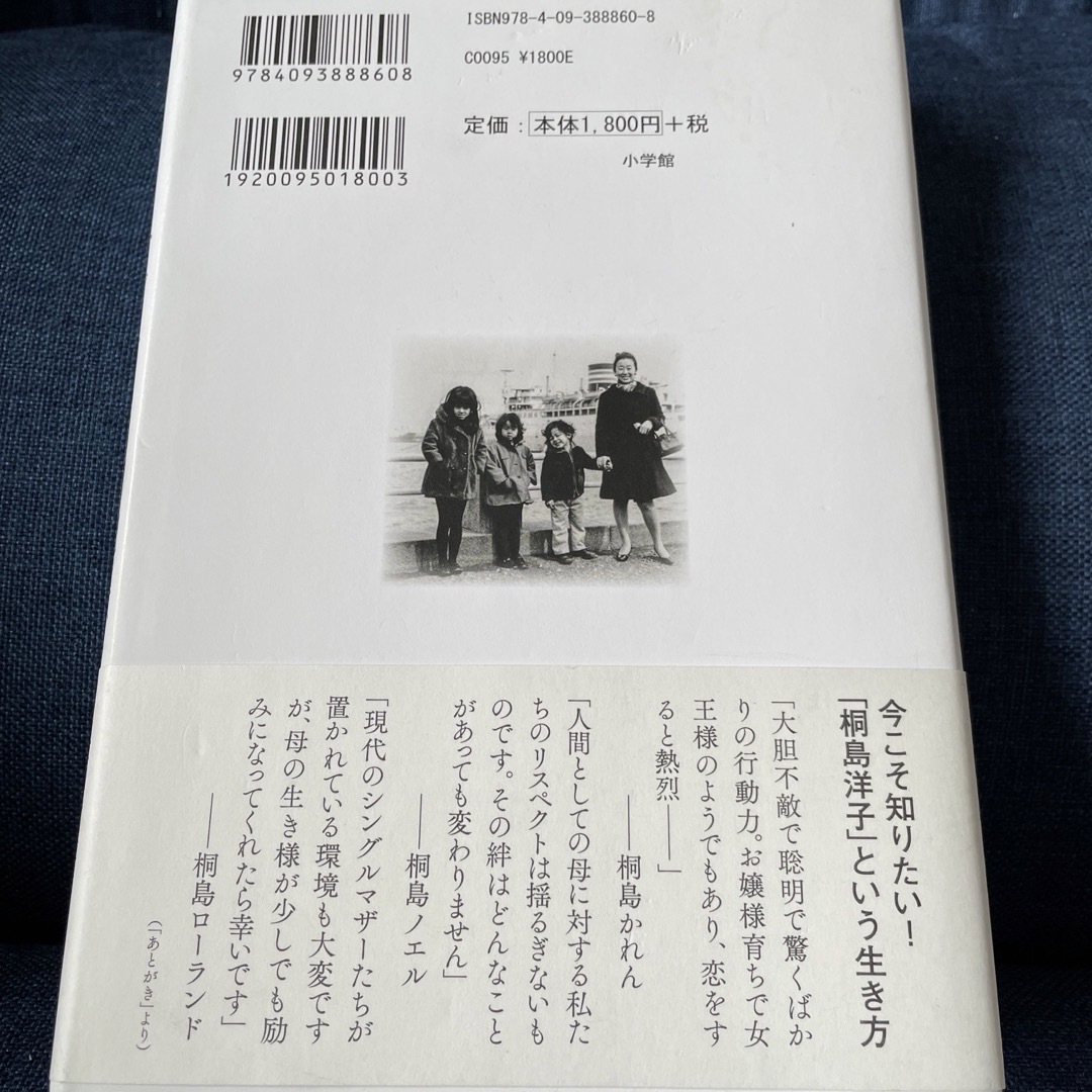 ペガサスの記憶 エンタメ/ホビーの本(文学/小説)の商品写真