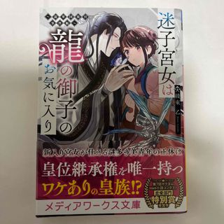 迷子宮女は龍の御子のお気に入り～龍華国後宮事件帳～(文学/小説)