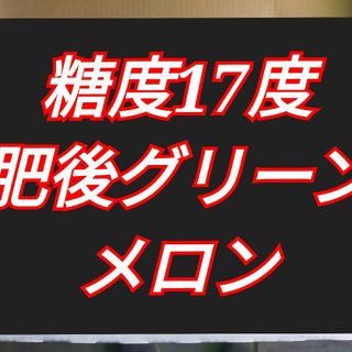 肥後グリーンメロン５玉入(フルーツ)