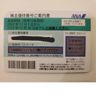 エーエヌエー(ゼンニッポンクウユ)(ANA(全日本空輸))のANA　株主優待券(航空券)