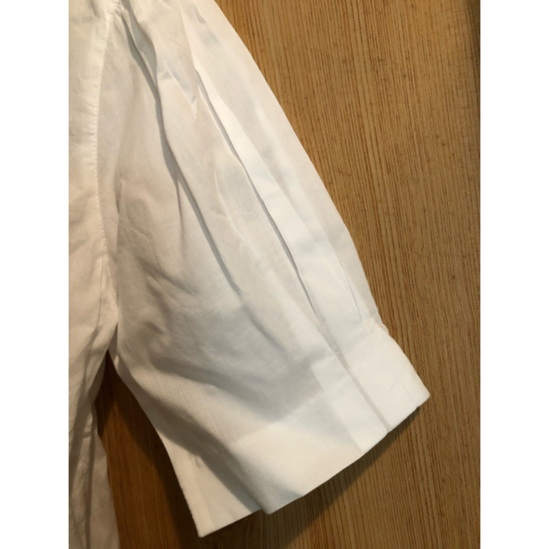 INGEBORG(インゲボルグ)のインゲボルグ　半袖ブラウス レディースのトップス(Tシャツ(半袖/袖なし))の商品写真