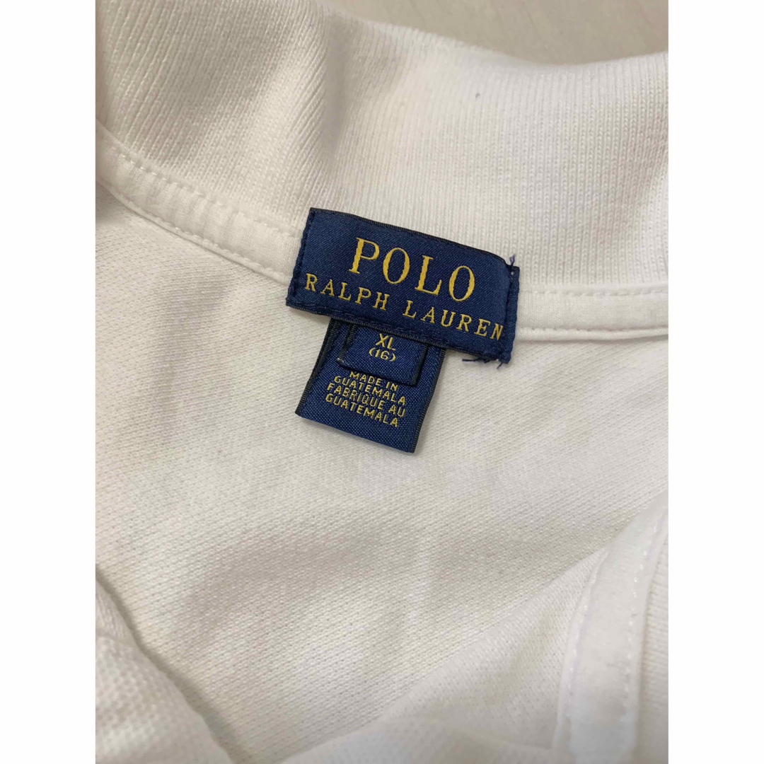 POLO RALPH LAUREN(ポロラルフローレン)のポロ　ラルフローレン　ポロシャツ レディースのトップス(ポロシャツ)の商品写真
