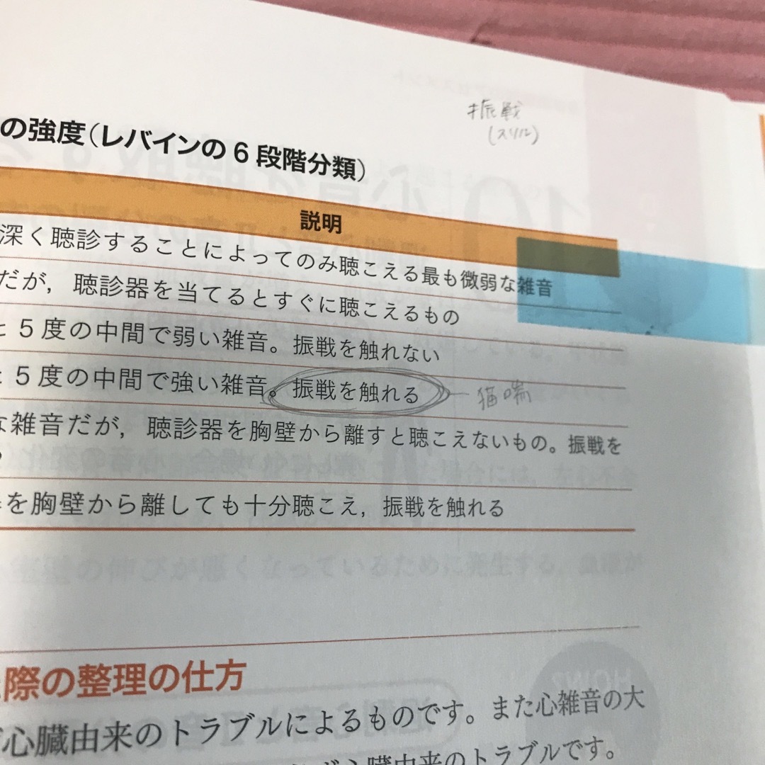 フィジカルアセスメントガイドブック 目と手と耳でここまでわかる 第２版 エンタメ/ホビーの本(健康/医学)の商品写真