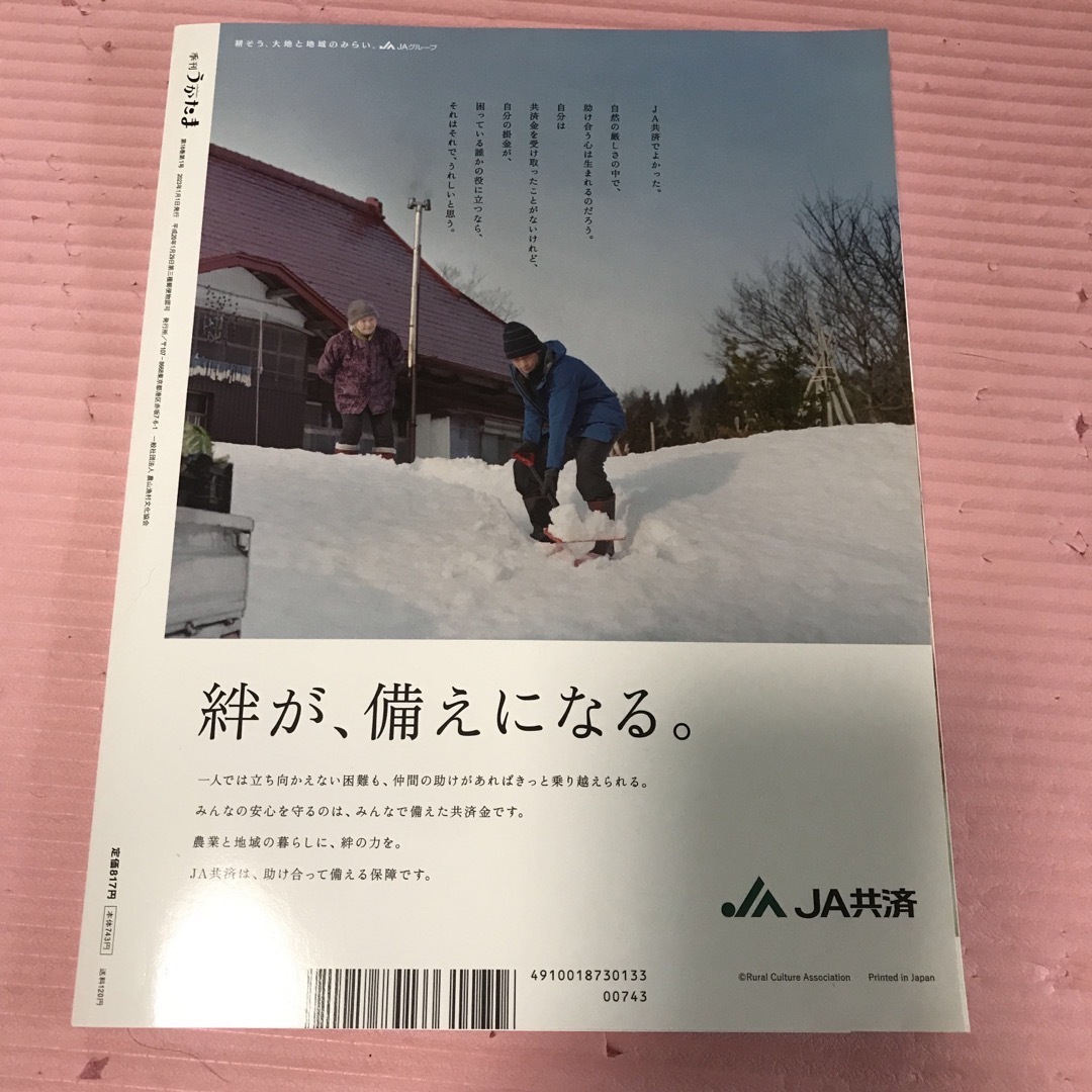 うかたま 2023年 01月号 エンタメ/ホビーの雑誌(料理/グルメ)の商品写真