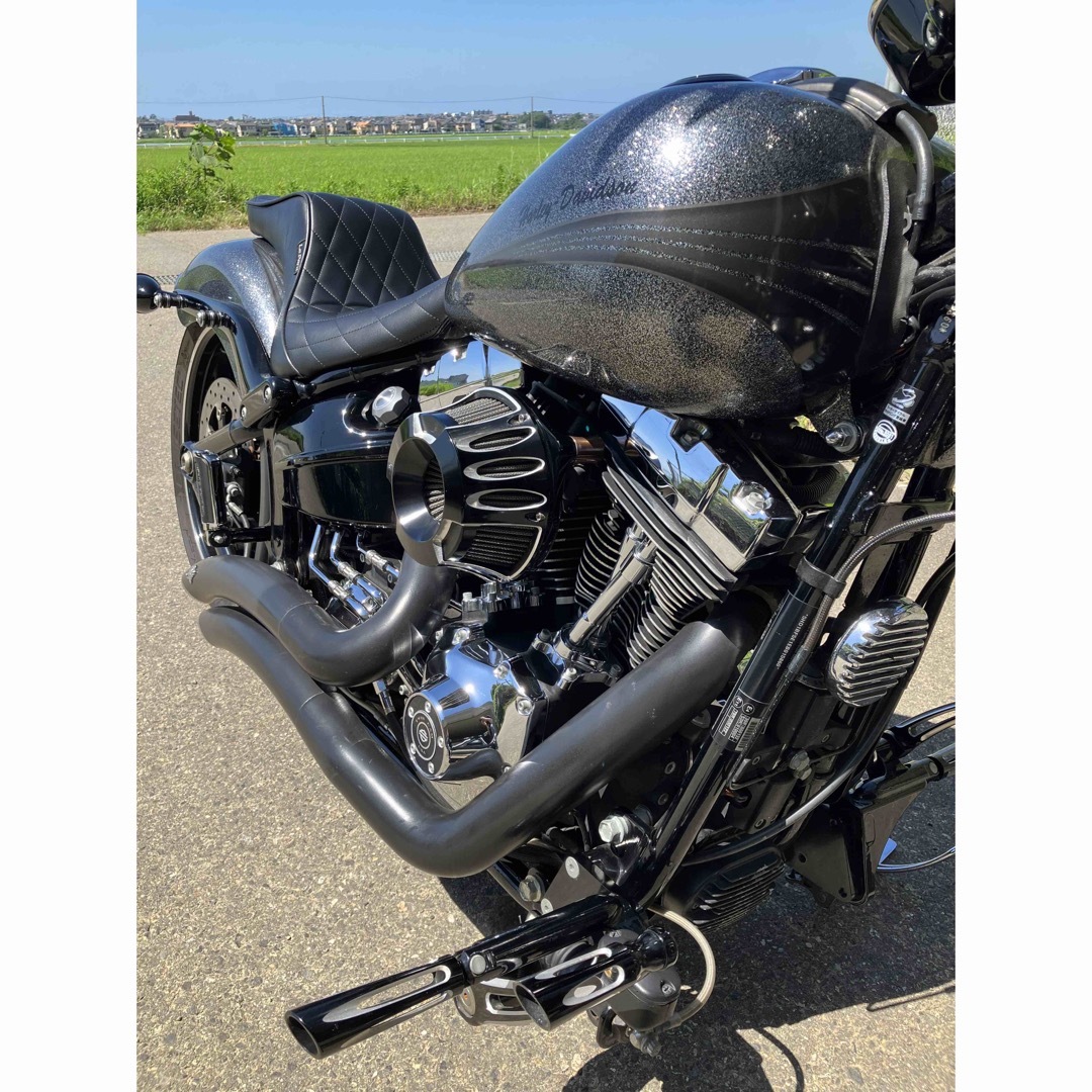Harley Davidson(ハーレーダビッドソン)のブレイクアウトFXSB1580　ﾊｰﾚｰ 自動車/バイクのバイク(車体)の商品写真