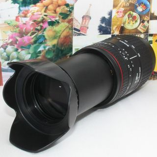 SIGMA - ❤️超ど迫力の超望遠レンズ❤️シグマ 70-300mm ソニー ...