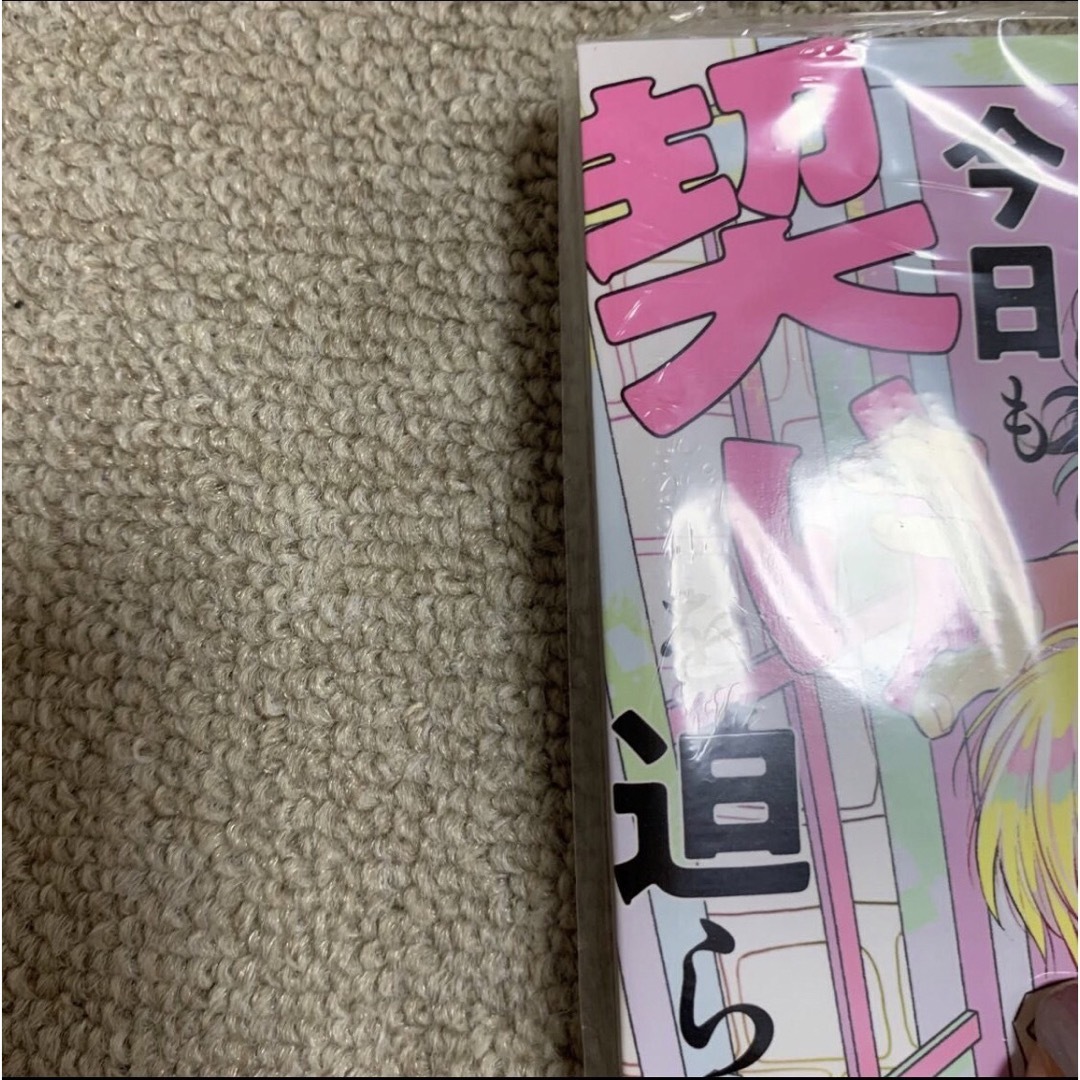 人気商品 兄弟制度のあるヤンキー学園で 今日も契りを迫られています