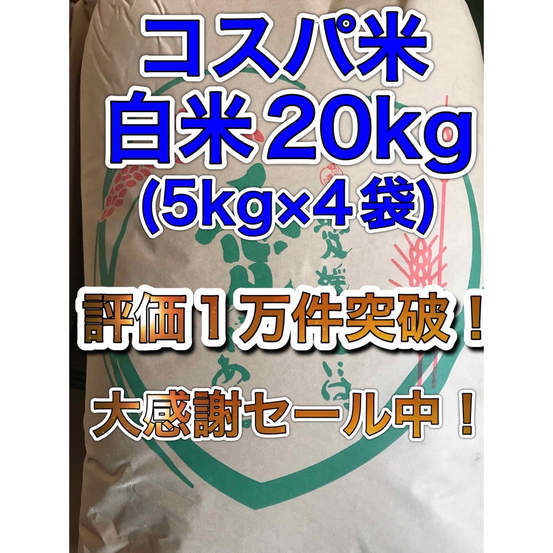 リピーター様多数！】コスパ米20kg(5kg×4袋)　by　新米　の通販　白米　お米　OKBライス@年始4日より発送｜ラクマ