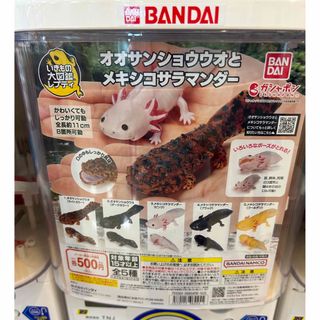 バンダイ(BANDAI)の「値下げ」いきもの大図鑑レプティ　オオサンショウウオ(模型/プラモデル)