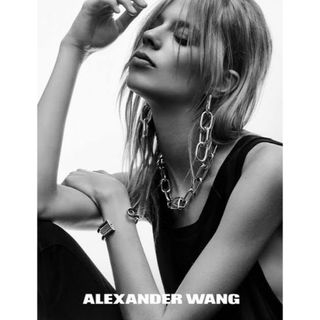 期間限定値下げ 定価80000円 Alexander Wang ネックレス