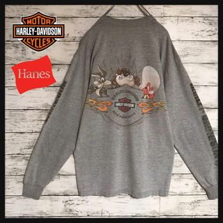 ハーレーダビッドソン(Harley Davidson)の【USA製】ハーレーダビッドソン　タズマニアンデビルプリントロンＴ　E568(Tシャツ/カットソー(七分/長袖))