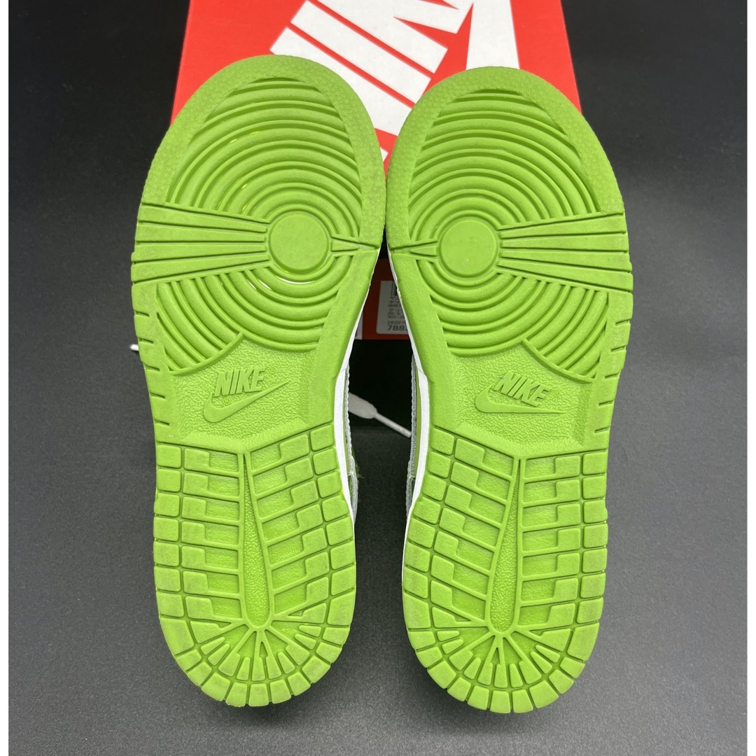 NIKE(ナイキ)のダンク　クロロフィル キッズ/ベビー/マタニティのキッズ靴/シューズ(15cm~)(スニーカー)の商品写真
