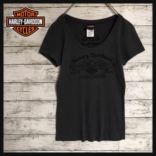 ハーレーダビッドソン(Harley Davidson)の【美品】ハーレーダビッドソン　刺繍ロゴ入りTシャツ　入手困難　F603(Tシャツ(半袖/袖なし))