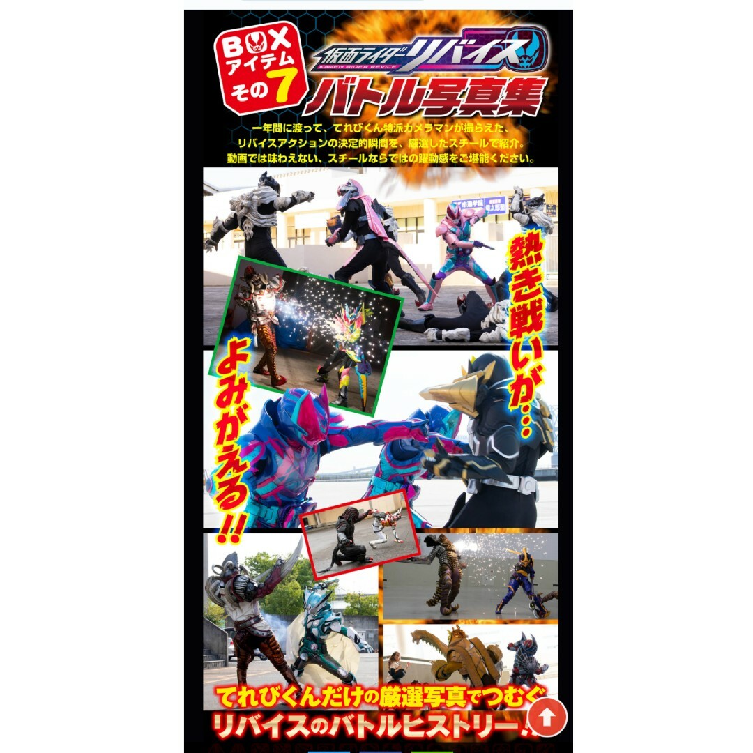 仮面ライダーリバイス超全集〈別巻〉BOX エンタメ/ホビーのDVD/ブルーレイ(特撮)の商品写真