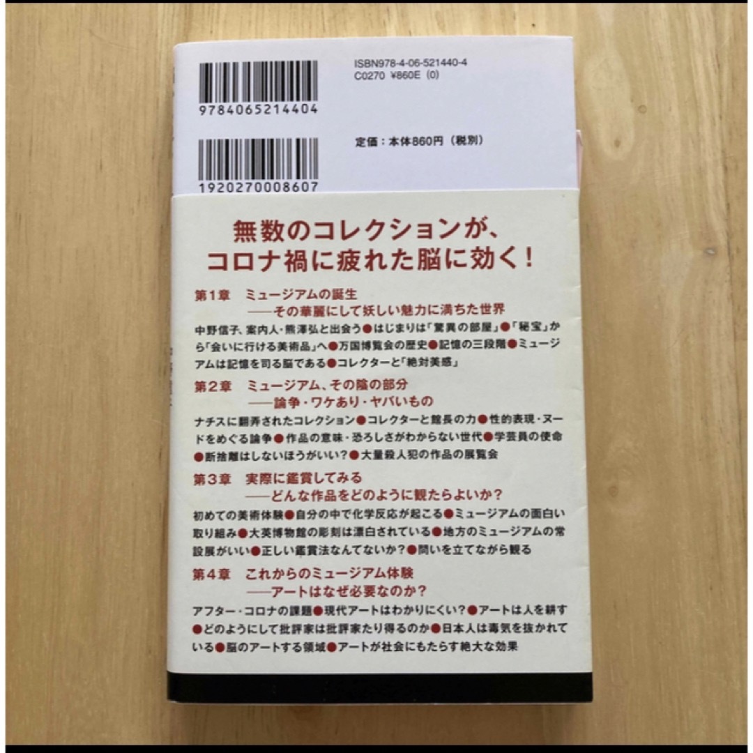 講談社(コウダンシャ)の脳から見るミュージアム アートは人を耕す エンタメ/ホビーの本(アート/エンタメ)の商品写真