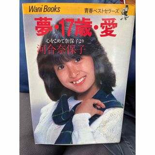 河合奈保子　夢　17歳　愛(アート/エンタメ/ホビー)