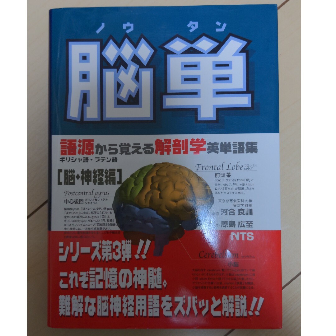 脳単 語源から覚える解剖学英単語集脳・神経編 エンタメ/ホビーの本(健康/医学)の商品写真