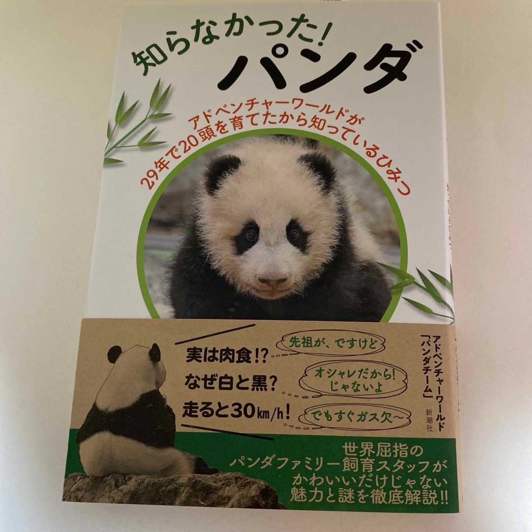 知らなかった！パンダ アドベンチャーワールドが２９年で２０頭を育てたから/新潮社 | フリマアプリ ラクマ