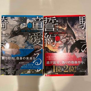 竜愛づる騎士の誓約　上 下巻セット(文学/小説)