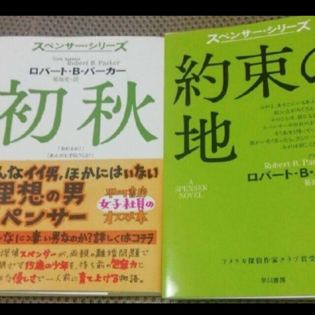 小説 約束の地 エンタメ/ホビーの本(文学/小説)の商品写真