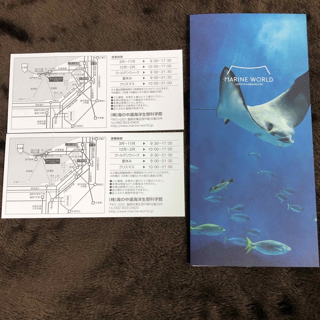 マリンワールド 海の中道 チケットの施設利用券(水族館)の商品写真