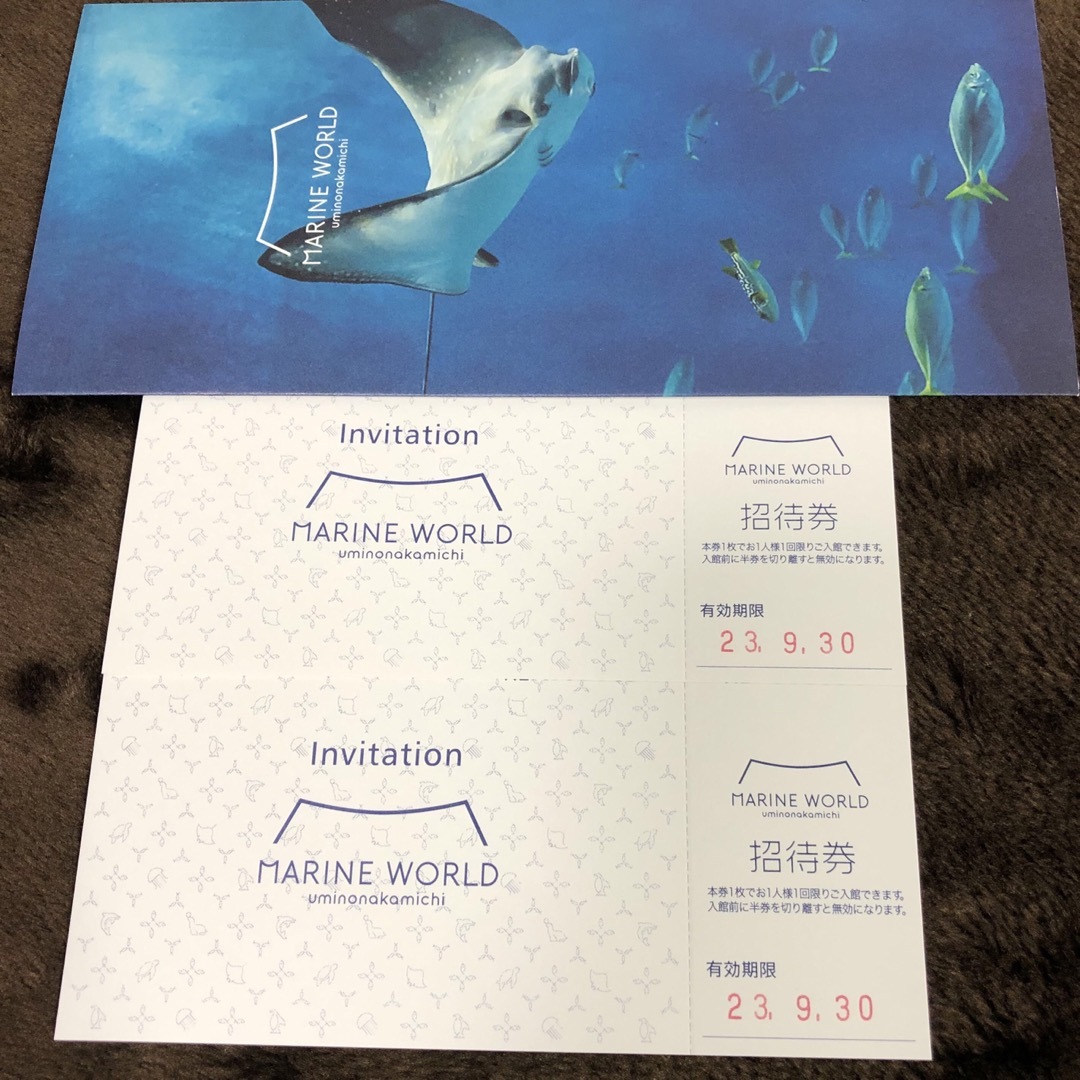 マリンワールド 海の中道 チケットの施設利用券(水族館)の商品写真