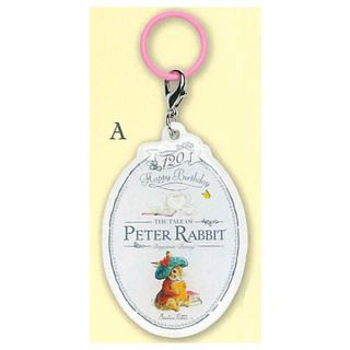 ピーターラビット(PETER RABBIT（TM）)のピーターラビット マーカー アクセサリー チャーム A ガチャ(キャラクターグッズ)