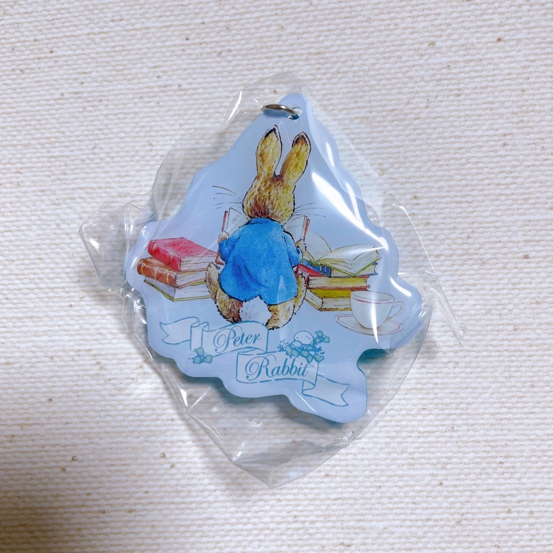 PETER RABBIT（TM）(ピーターラビット)のピーターラビット マーカー アクセサリー チャーム E ガチャ エンタメ/ホビーのおもちゃ/ぬいぐるみ(キャラクターグッズ)の商品写真