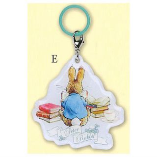 ピーターラビット(PETER RABBIT（TM）)のピーターラビット マーカー アクセサリー チャーム E ガチャ(キャラクターグッズ)