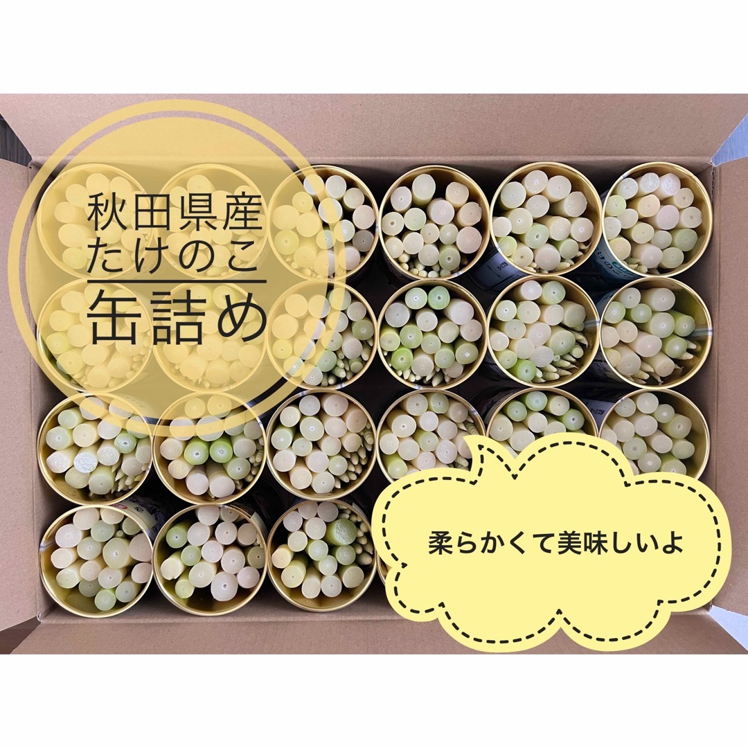 送料込み！秋田県産　たけのこ　缶詰め　４缶