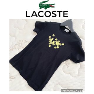 ラコステ(LACOSTE)の美品LACOSTEラコステお洒落Tシャツ黒40エポカシップスアドーア(Tシャツ(半袖/袖なし))