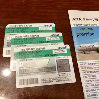 エーエヌエー(ゼンニッポンクウユ)(ANA(全日本空輸))のANA　全日空　株主優待　３枚(航空券)