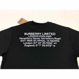 BURBERRY - 新品《 BURBERRY 》ロケーションプリント オーバーサイズ T