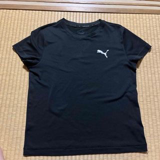 プーマ(PUMA)のプーマ150㌢　値下げ(Tシャツ/カットソー)