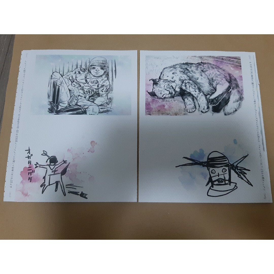 ゴールデンカムイ　イラストカード　ポストカード エンタメ/ホビーのおもちゃ/ぬいぐるみ(キャラクターグッズ)の商品写真