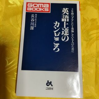 英語上達のカンどころ 十年間ムダをしたと後悔している人のために(語学/参考書)