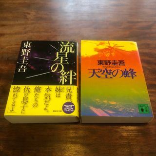 東野圭吾　流星の絆　天空の蜂　2冊セット(文学/小説)