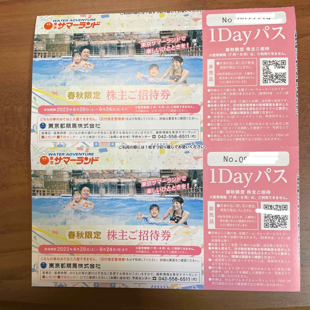 東京サマーランド 株主優待券 春秋限定 1Dayパス 東京都競馬 2枚組の ...