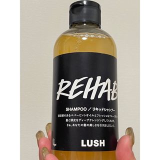 ラッシュ(LUSH)の果草力 シャンプー LUSH(シャンプー)