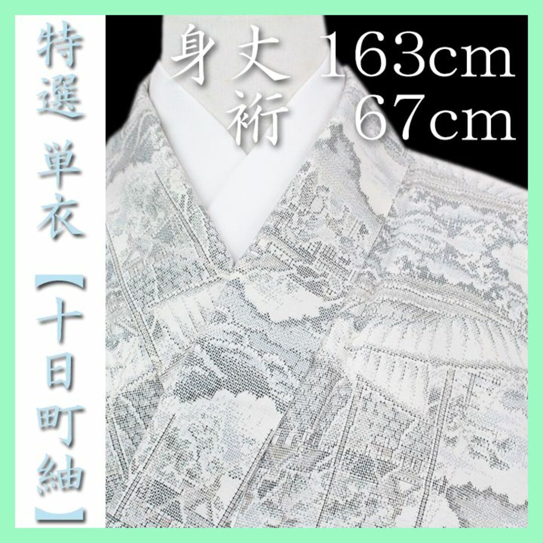 非売品 貴重色の単衣～特選 十日町紬～ ワンランク上のお洒落着に