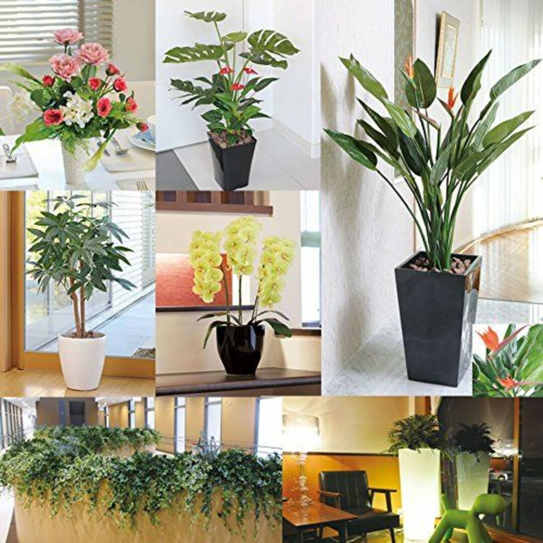販売管理 光の楽園 光触媒観葉植物 ゴムの木 人工観葉