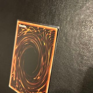 遊戯王 - 【準美品級】遊戯王 トゥーンブラックマジシャンガール 通常