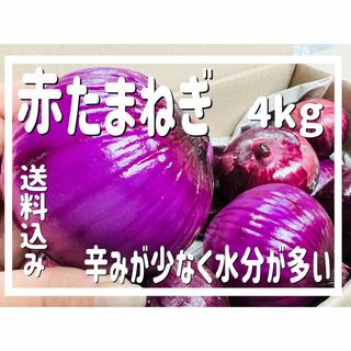 訳あり商品　赤玉ねぎ剥いちゃいました！ 新玉ねぎ　赤たまねぎ 4㎏  農薬不使用(野菜)