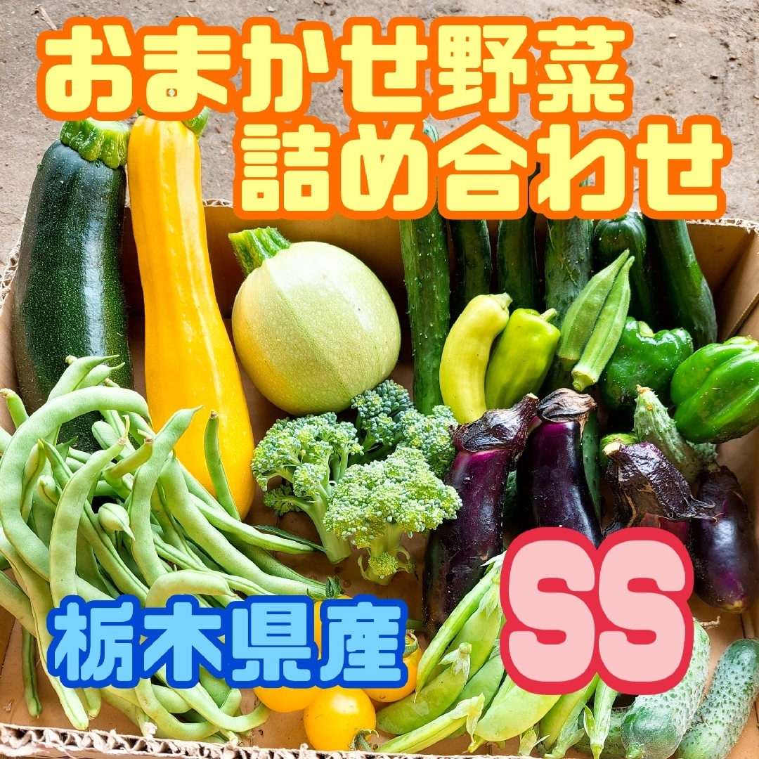 おまかせ野菜詰め合わせBOX【SS】 食品/飲料/酒の食品(野菜)の商品写真