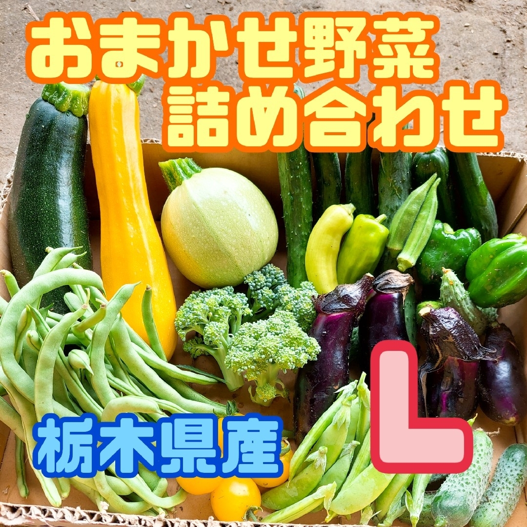 おまかせ野菜詰め合わせBOX【L】 食品/飲料/酒の食品(野菜)の商品写真