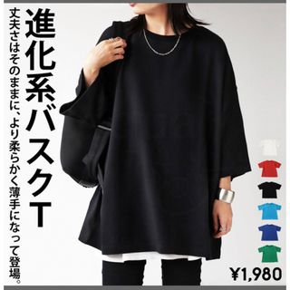 アンティカ(antiqua)のantiqua   未使用タグ付き　バスクTシャツ　ブルー(Tシャツ(半袖/袖なし))