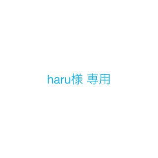 haru様　専用(その他)