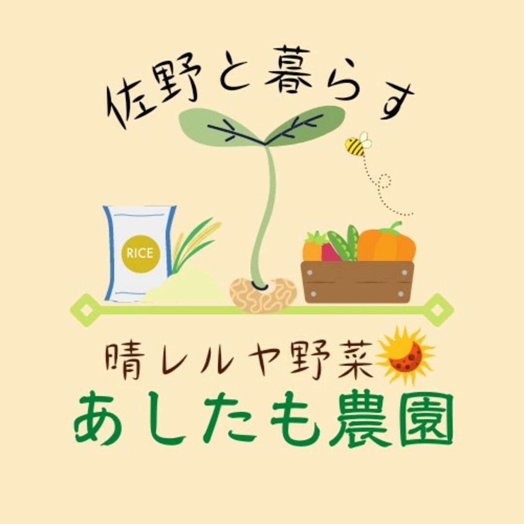 農家直売！夏野菜詰め合わせ100サイズ 食品/飲料/酒の食品(野菜)の商品写真